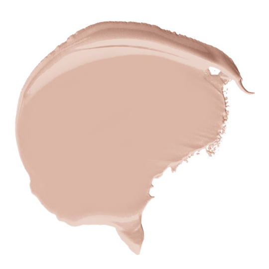 Dermacol Longwear Cover foundation and concealer Beige