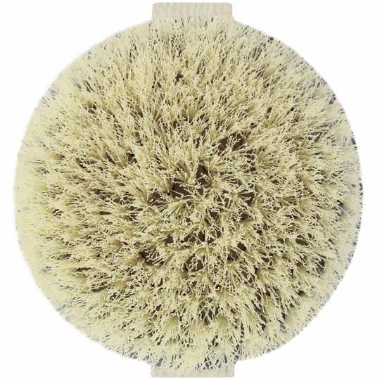 EcoTools Dry Body Brush